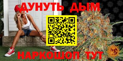 МДПВ Бердск