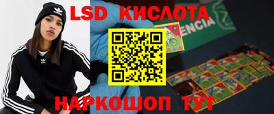 МДПВ Бердск