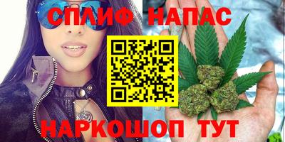 индика Аша