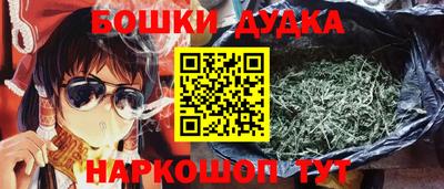 МДПВ Бердск