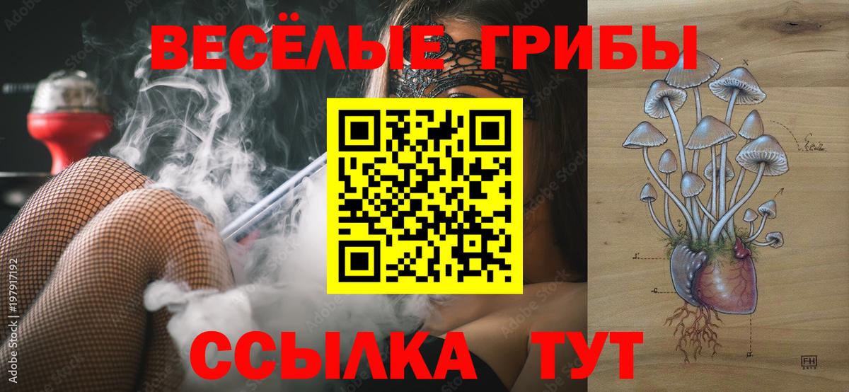 купить   Галлюциногенные грибы Psilocybine cubensis  Кувандык  Вход с VPN  Псилоцибиновые грибы Cubensis 