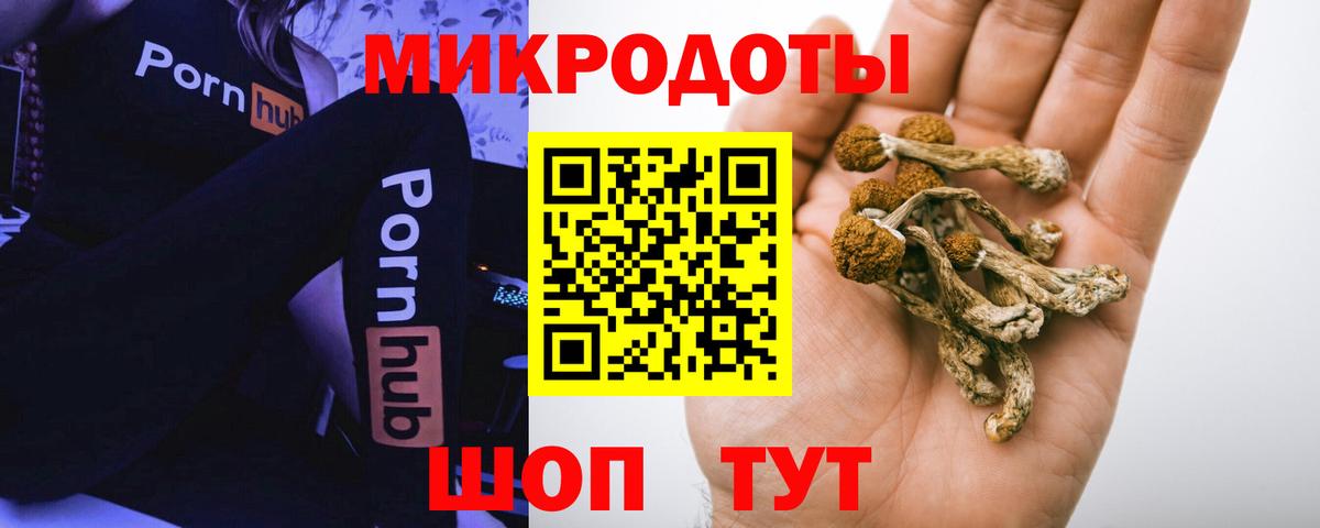 Псилоцибиновые грибы ЛСД Кувандык